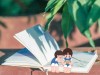 从防暑到养生，高温天生存指南来了！