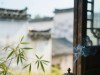 修行，不是放过别人，而是饶了本身