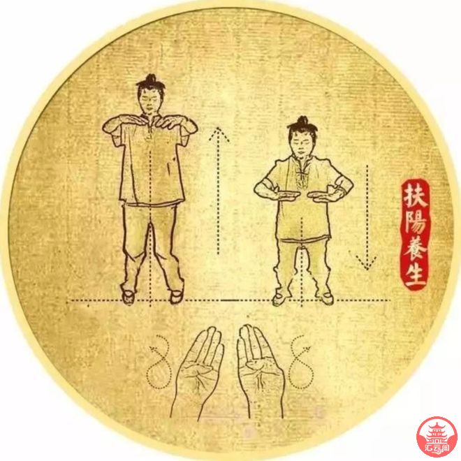 t0356c2z5Tl665l0.jpg