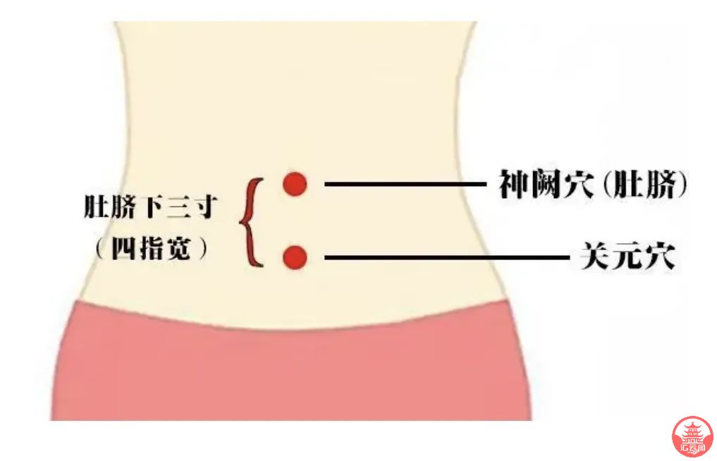 lcA577V8vQOVQknv.jpg