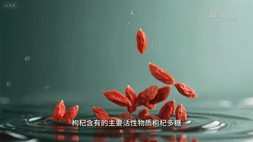 Qp629qPhrH9dQsqH.jpg