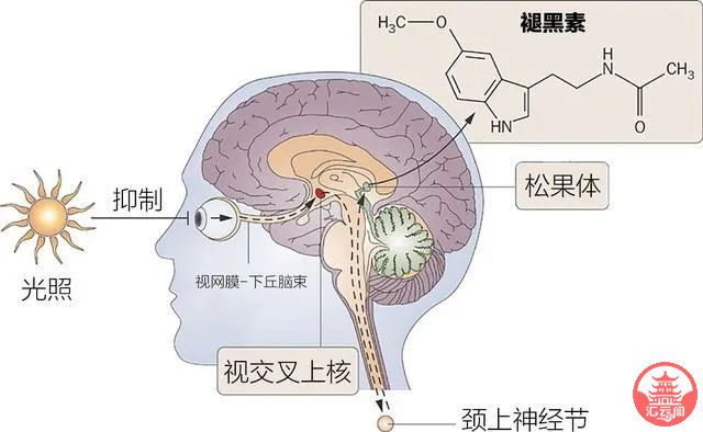 BCF5Lu9mCc95sxiU.jpg
