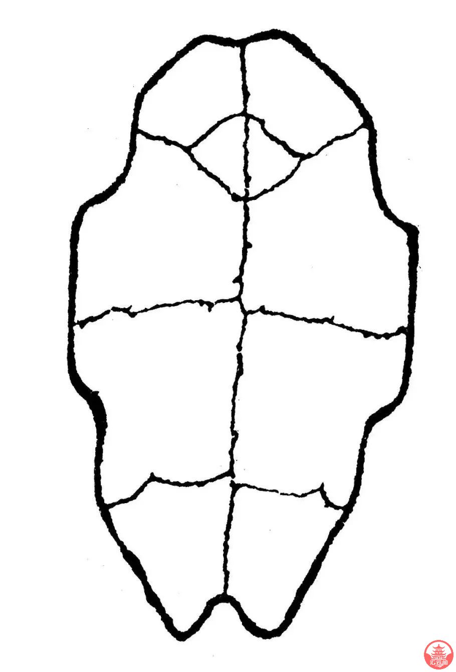 tVk0FKl31MrOmkq6.jpg